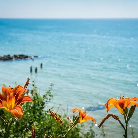 премиер форт сендс ризорт - пълен Здравен курорт