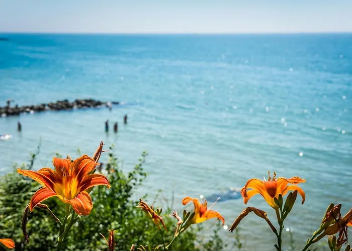 金沙堡普瑞米尔度假酒店 - 全膳宿 度假村